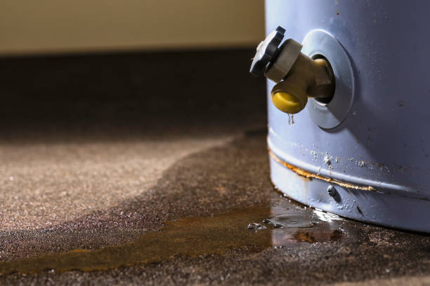 Best Water damage restoration near me  in Boynton Beach, FL