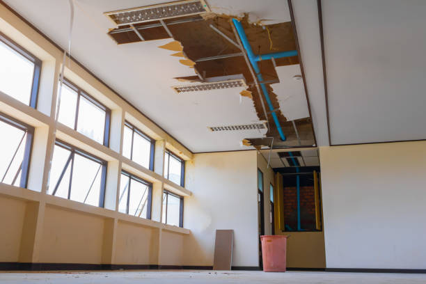Best Water damage contractors near me  in Boynton Beach, FL