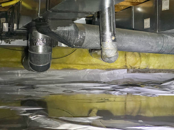 Best Mold removal after water damage  in Boynton Beach, FL