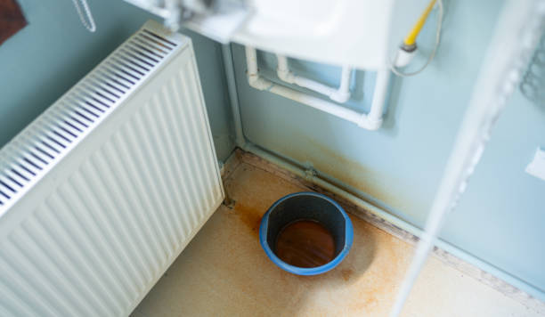 Best Ceiling water damage repair  in Boynton Beach, FL