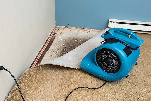 Best 24/7 water damage repair  in Boynton Beach, FL